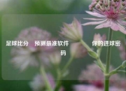 足球比分⚽预测最准软件🏅你的进球密码