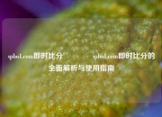 spbo1.com即时比分🥇spbo1.com即时比分的全面解析与使用指南
