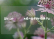 雪球比分🥈追踪体育赛事的在线平台
