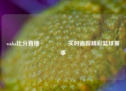 wnba比分直播🎖️实时追踪精彩篮球赛事