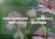 足球比分预测技巧攻略🥎揭秘足球比分预测的终极技巧——你的胜负秘籍