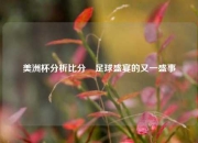 美洲杯分析比分⚽足球盛宴的又一盛事