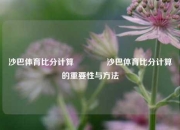 沙巴体育比分计算🏀沙巴体育比分计算的重要性与方法