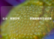 比分⚽预测巴甲🏆掌握胜算的关键因素