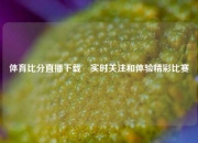 体育比分直播下载⚽实时关注和体验精彩比赛