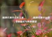 棋牌代理平台夹五星🌈棋牌代理平台的全新崛起与未来展望