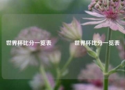 世界杯比分一览表🏆世界杯比分一览表