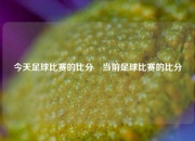 今天足球比赛的比分⚽当前足球比赛的比分