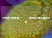 欧锦赛比分直播🥇球迷的狂欢与激动时刻