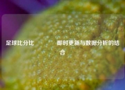 足球比分比🏀即时更新与数据分析的结合
