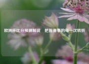 欧洲杯比分预测解说⚽把握赛事的每一次转折
