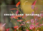 世界杯英格兰比分预测⚾历史对决与期待