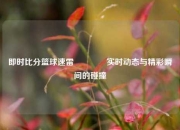 即时比分篮球速雷🥇实时动态与精彩瞬间的碰撞