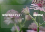 亚美尼亚甲组篮球比分🏀一场激烈的对决