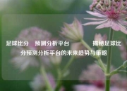 足球比分⚽预测分析平台🏅揭秘足球比分预测分析平台的未来趋势与策略
