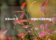 足彩003比分🏀一场精彩对决的瞬间
