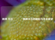 棋牌 平台🥎棋牌平台的崛起与未来展望
