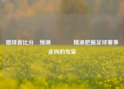 猎球者比分⚽预测🏐精准把握足球赛事走向的专家