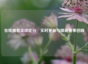在线观看足球比分⚾实时更新与精彩赛事回顾