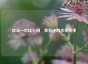 红足一世比分网⚾体育迷的忠实伙伴
