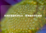 欧洲杯直播实时比分⚽赛事盛况尽在眼前