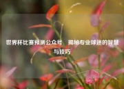 世界杯比赛预测公众号⚾揭秘专业球迷的智慧与技巧