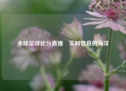 全球足球比分直播⚽实时信息的海洋