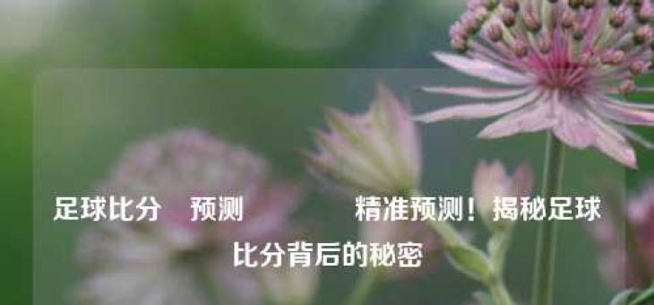 足球比分⚽预测👉精准预测！揭秘足球比分背后的秘密