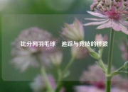 比分网羽毛球⚽追踪与竞技的桥梁