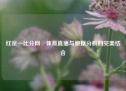红足一比分网⚾体育直播与数据分析的完美结合