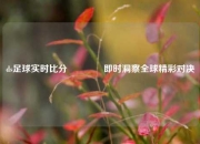 ds足球实时比分👈即时洞察全球精彩对决