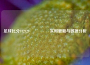 足球比分182323🎖️实时更新与数据分析