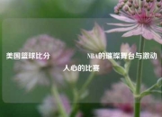 美国篮球比分🎖️NBA的璀璨舞台与激动人心的比赛