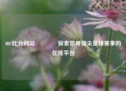 007比分网站🏀探索世界顶尖足球赛事的在线平台