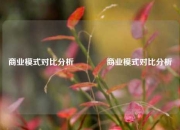 商业模式对比分析🌈商业模式对比分析