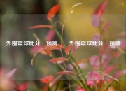 外围篮球比分⚽预测✌️外围篮球比分⚽预测