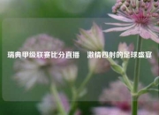 瑞典甲级联赛比分直播⚽激情四射的足球盛宴