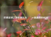巴西足球乙级联赛比分✌️一场激烈的对决