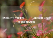 欧洲杯比分在哪里买👈欧洲杯比分实时查询及购买指南