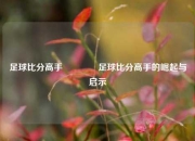 足球比分高手🥉足球比分高手的崛起与启示