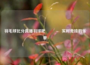 羽毛球比分直播羽球吧🥉实时竞技的乐章