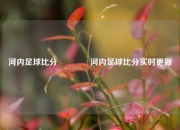 河内足球比分👈河内足球比分实时更新