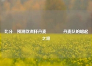 比分⚽预测欧洲杯丹麦🥈丹麦队的崛起之路