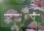 欧洲冠军杯预测比分🥎预测与分析