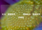 比分⚽预测软件🥎揭秘比分⚽预测软件的秘密