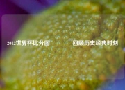 2012世界杯比分图🌈回顾历史经典时刻