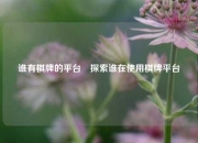 谁有棋牌的平台⚾探索谁在使用棋牌平台