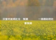 汉堡对波鸿比分⚽预测🥈一场精彩的比赛预测