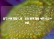 羽毛球赛直播比分⚽羽球赛事直播与实时比分追踪