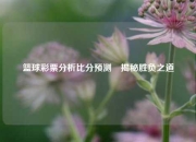 篮球彩票分析比分预测⚾揭秘胜负之道